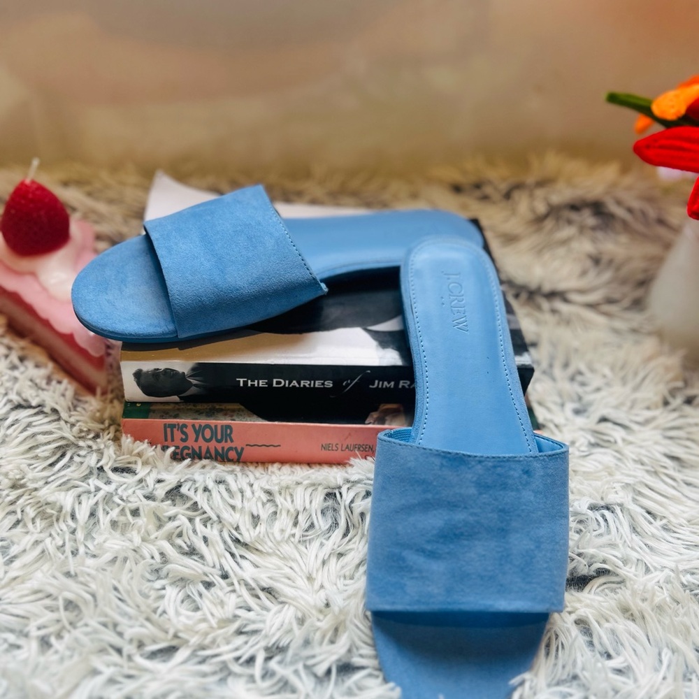 J. Crew Blue Suede Slide Sandals